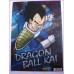 Dragon Ball Z CLEAR FILE cartelletta Original Japan Gadget Anime manga